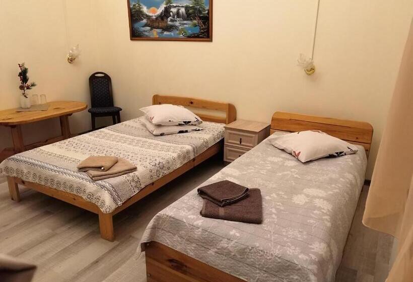 اتاق استاندارد, Ludza