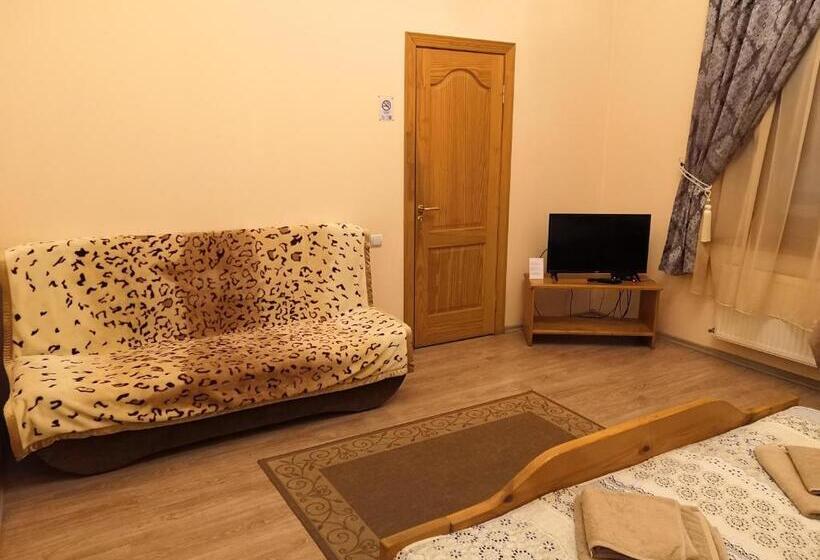 اتاق استاندارد, Ludza