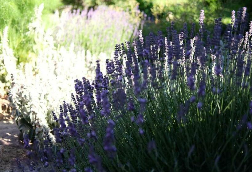 2 Bedrooms Suite 2 Bedrooms Lake View, Cselling Udvarház