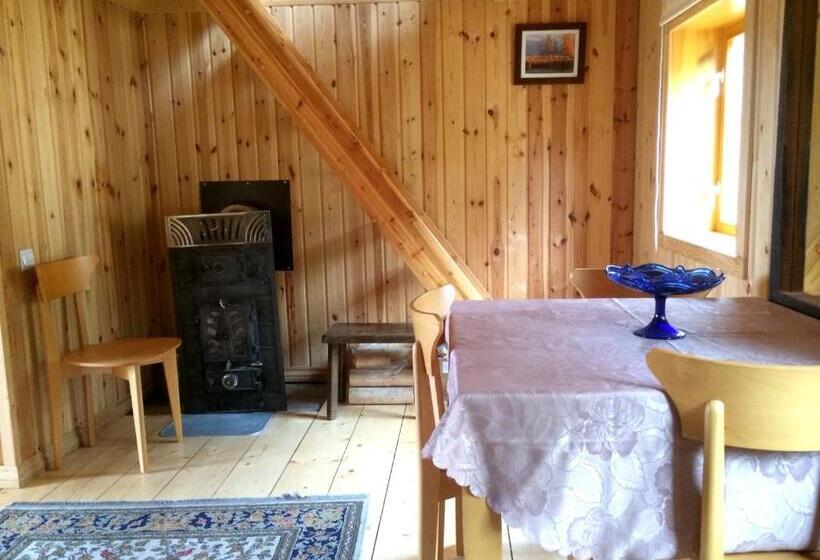 خانه 1 خوابه, Saulrieti