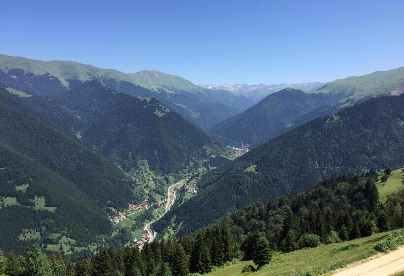 آپارتمان 1 خوابه با بالکن, Glisura Apart