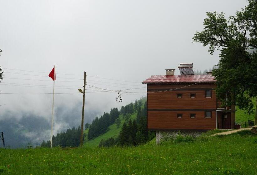 آپارتمان 1 خوابه با بالکن, Glisura Apart