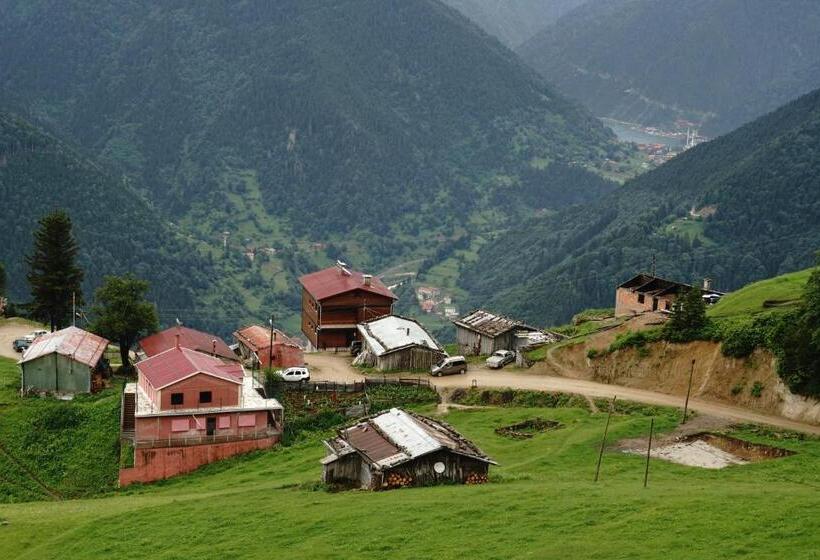 آپارتمان 1 خوابه با چشمانداز, Glisura Apart