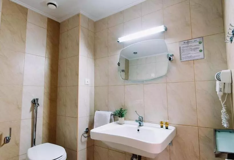 Superior-invahuone, Aar Hotel & Spa Ioannina
