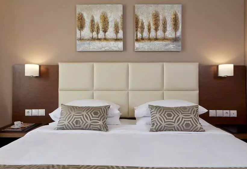 Deluxe-huone, Aar Hotel & Spa Ioannina