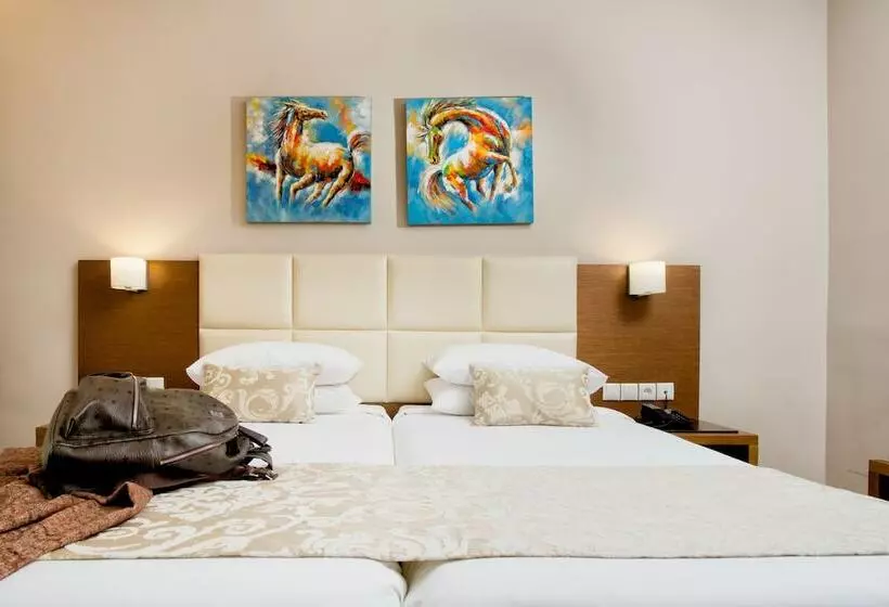 Superior-invahuone, Aar Hotel & Spa Ioannina