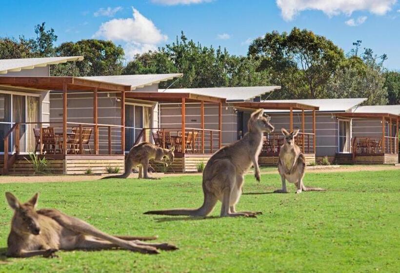수피리어 코티지, Discovery Parks   Pambula Beach
