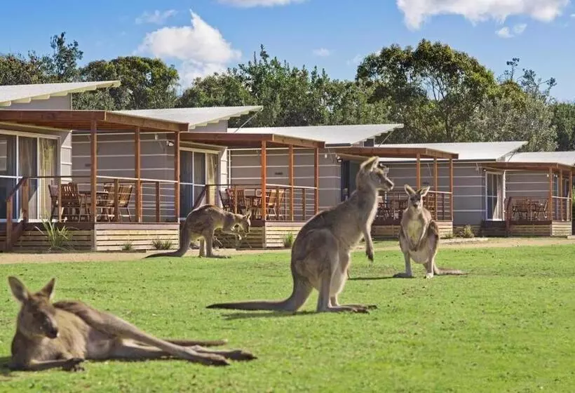 スーペリアキャビン, Discovery Parks   Pambula Beach