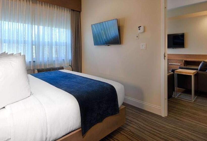 キングサイズベッドのスイートルーム, Best Western Plus Sawridge Suites