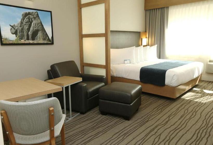 身障者適用キングサイズベッドルーム, Best Western Plus Sawridge Suites