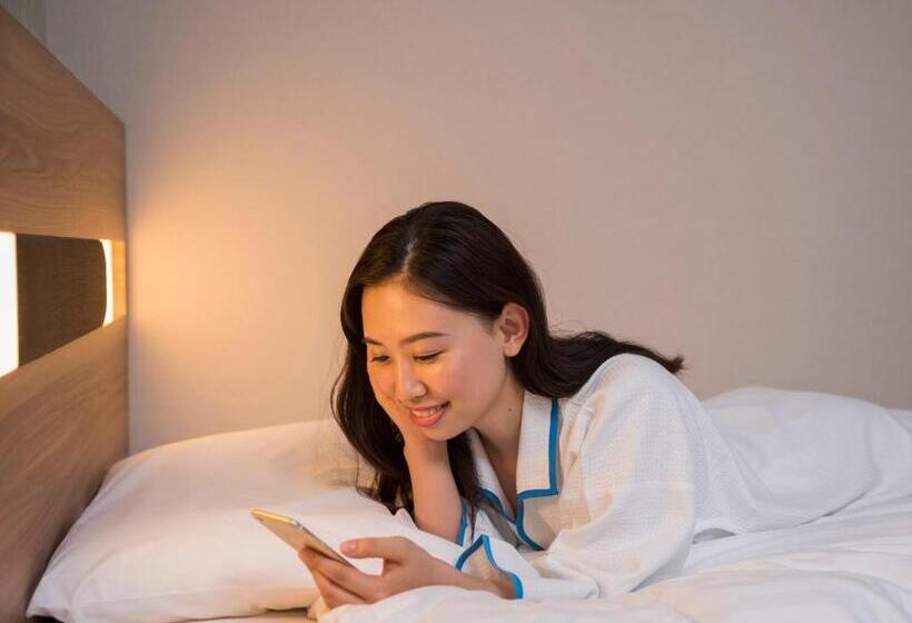 Номер Стандарт, Comfort Inn Ogaki
