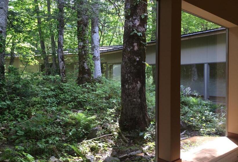 חדר סטנדרט, Mozumo