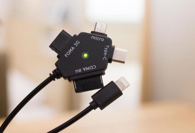 חדר סטנדרט, Super Hotel Premier Akasaka