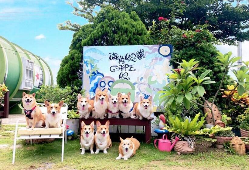 سوییت خانوادگی, Cape 42 Hotel Ill