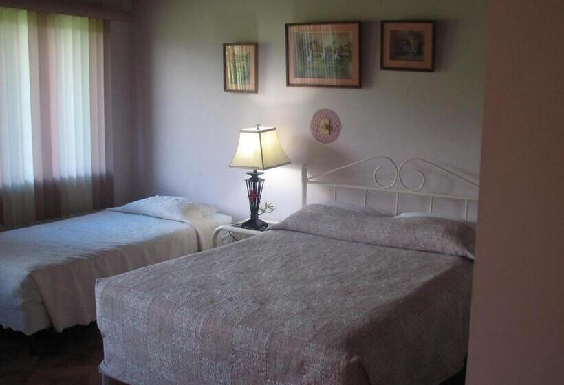 标准三人间, La Arena