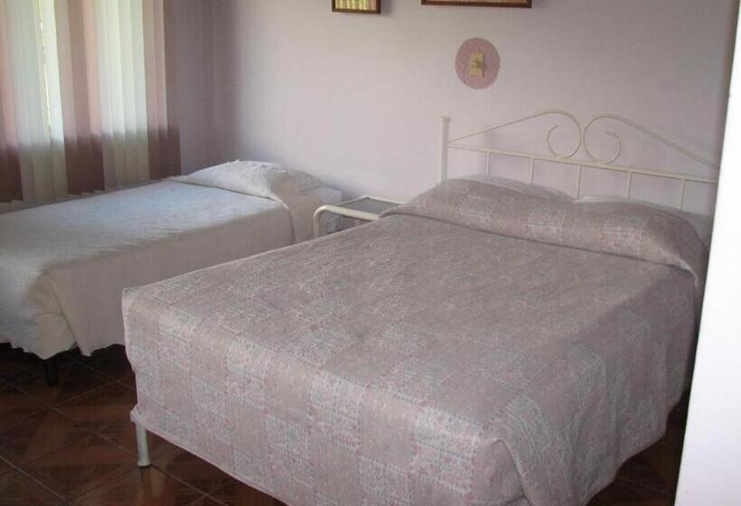 标准三人间, La Arena