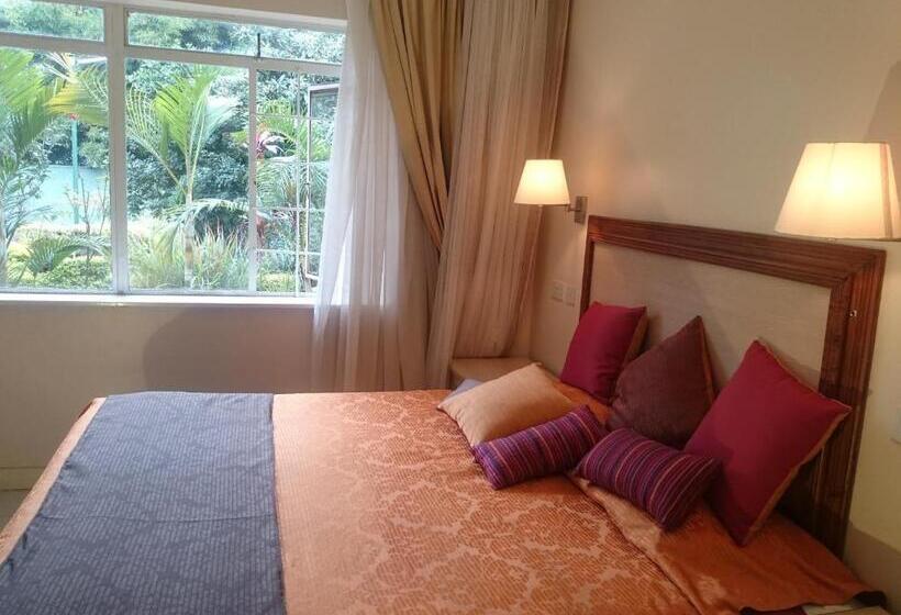 수피리어 룸, Riverview Westlands