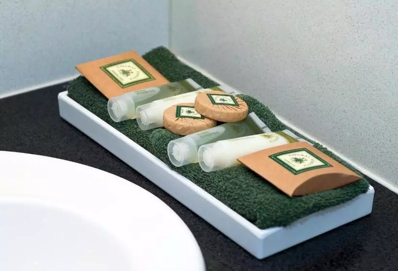 デラックスルーム, Colonial Terrace Motor Inn