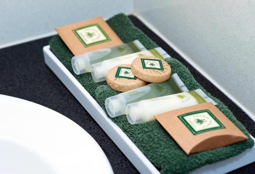 اتاق لوکس, Colonial Terrace Motor Inn