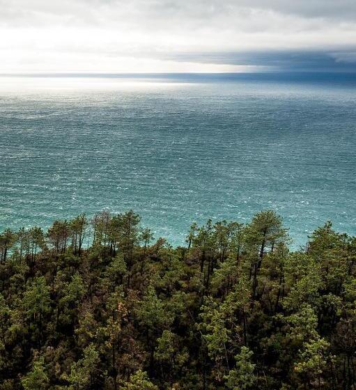 اتاق استاندارد با چشمانداز دریا, Due Gemelli