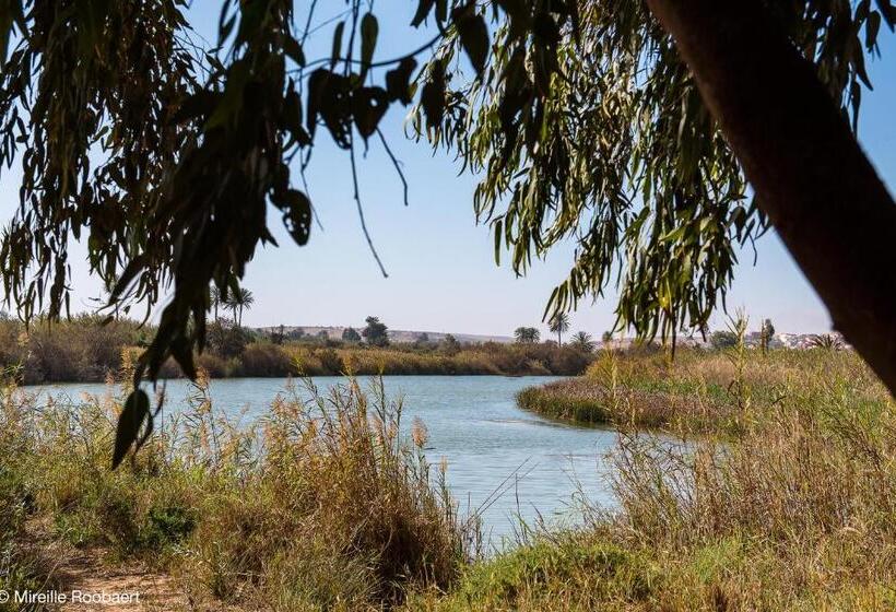 חדר סטנדרט, Dar Maktoub