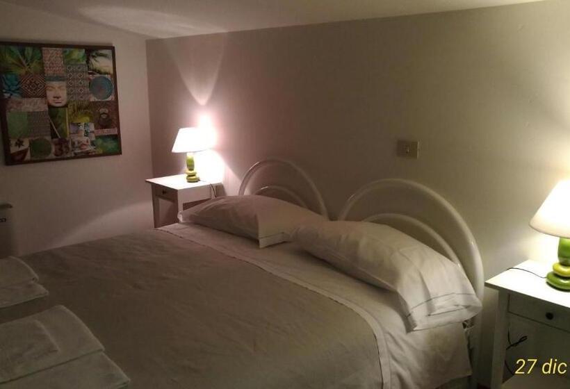 Standart Oda, L Approdo