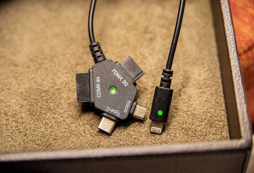 חדר סטנדרט, Kagoshima Plaza Hotel Tenmonkan