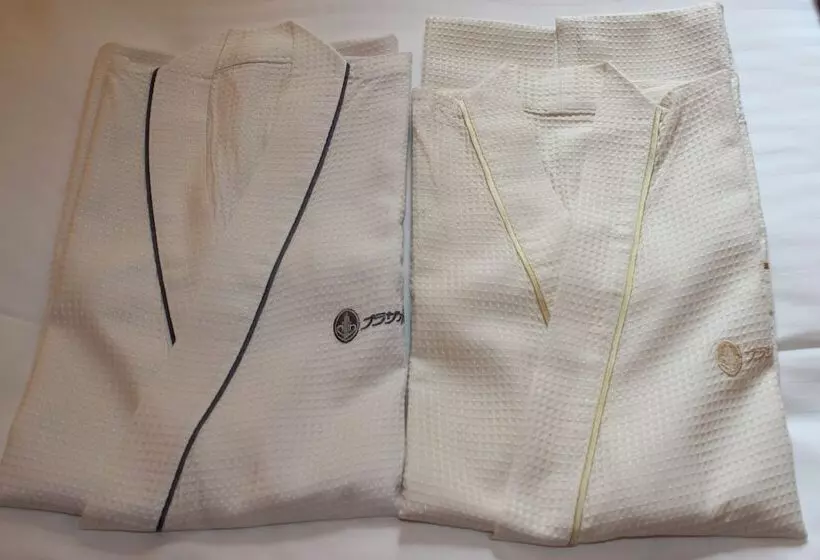 Standard-huone, Kagoshima Plaza Hotel Tenmonkan