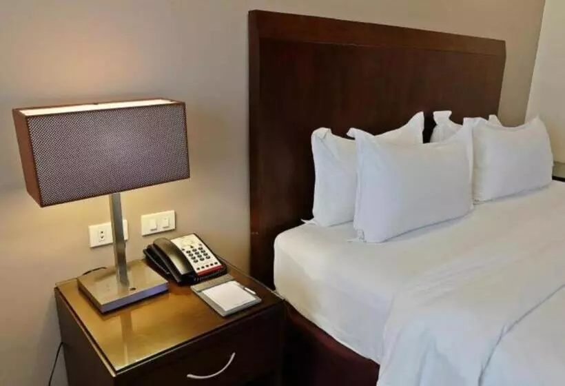 اتاق لوکس با تخت بزرگ, Mandarin Plaza