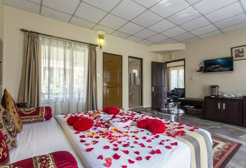 سوییت, Seven Limited