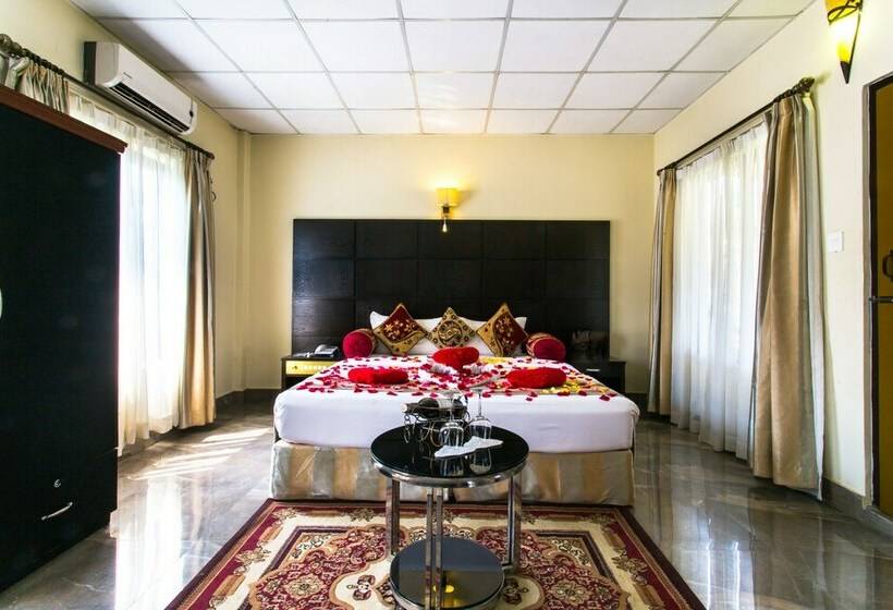 سوییت, Seven Limited