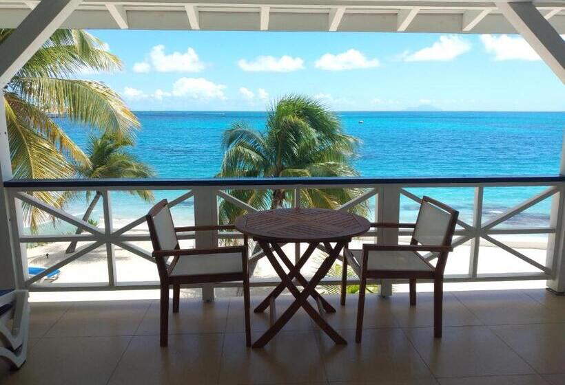 سوئیت با تخت بزرگ, The Horny Toad Guest House