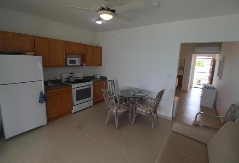 سوئیت با تخت بزرگ, The Horny Toad Guest House