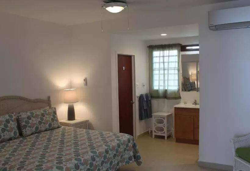 سوییت با چشم‌انداز دریا, The Horny Toad Guest House