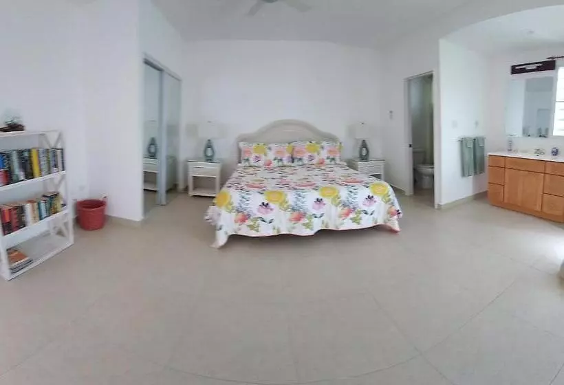 سوییت سوپریور با چشم‌انداز دریا, The Horny Toad Guest House