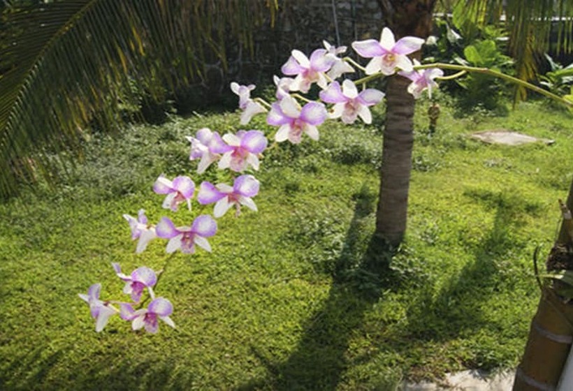 高级大房间, Xishuangbanna Hotel Laos Luang Prabang