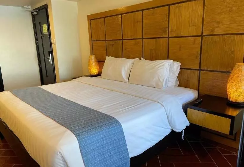 Standard Room King Size Bed