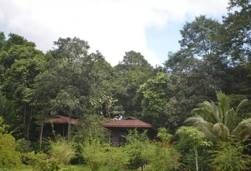 کلبه ییلاقی, Sepilok Forest Edge Resort
