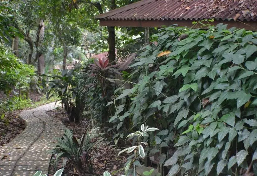 اتاق خانوادگی, Sepilok Forest Edge Resort