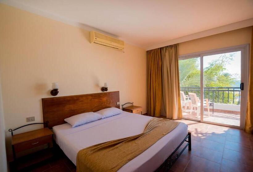 اتاق استاندارد با تخت بزرگ, Panda