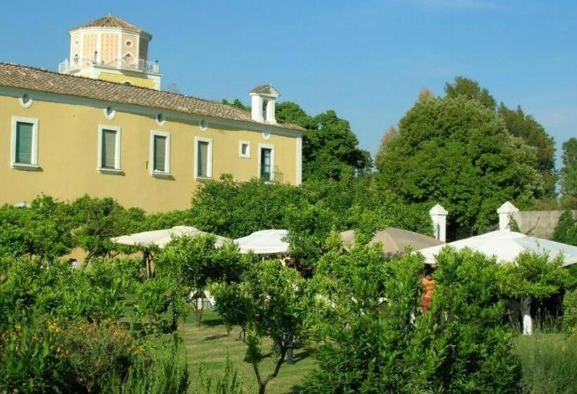Студия Стандарт, Farmstay La Morella