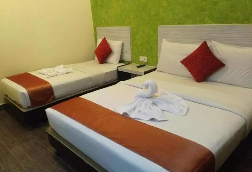 اتاق استاندارد سه نفره, Westree