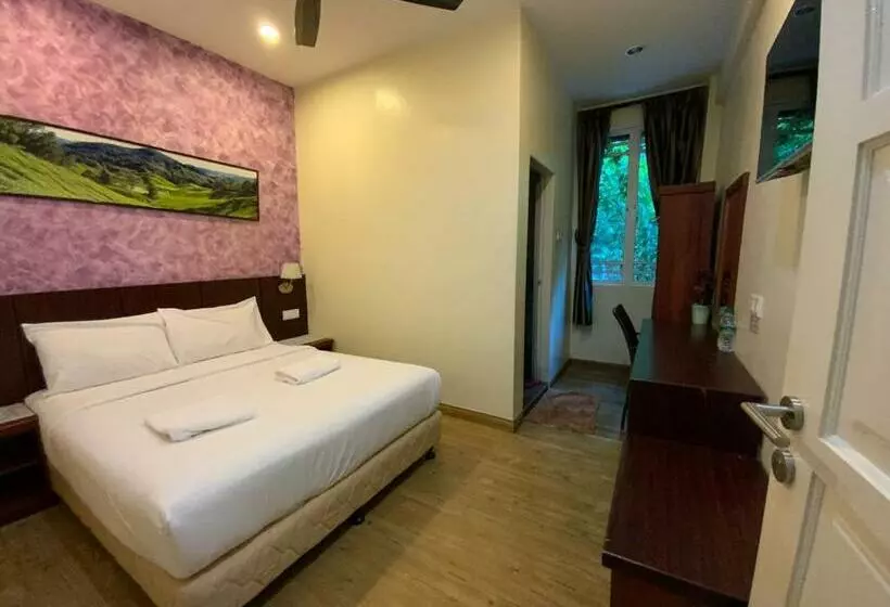 اتاق استاندارد, Arundina Cameron Highlands
