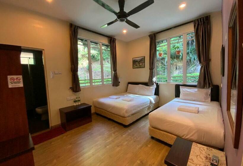 غرفة قياسية ثلاثية, Arundina Cameron Highlands