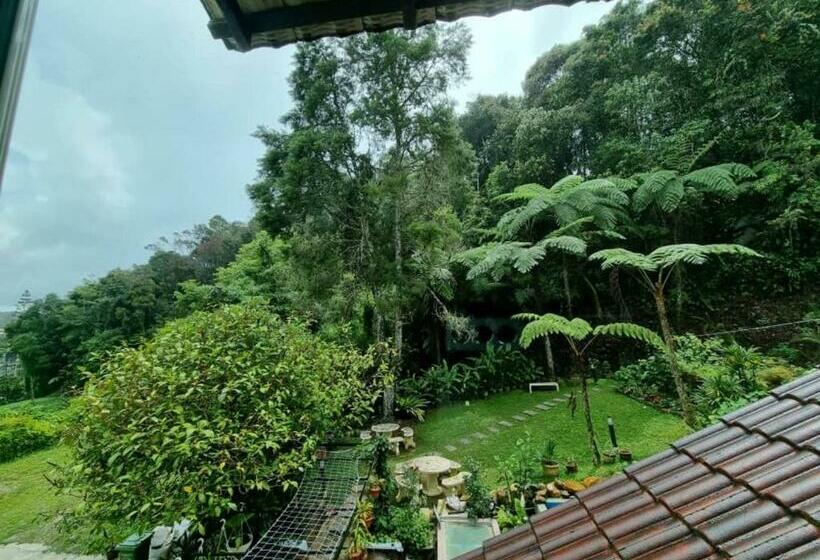 غرفة ديلوكس, Arundina Cameron Highlands