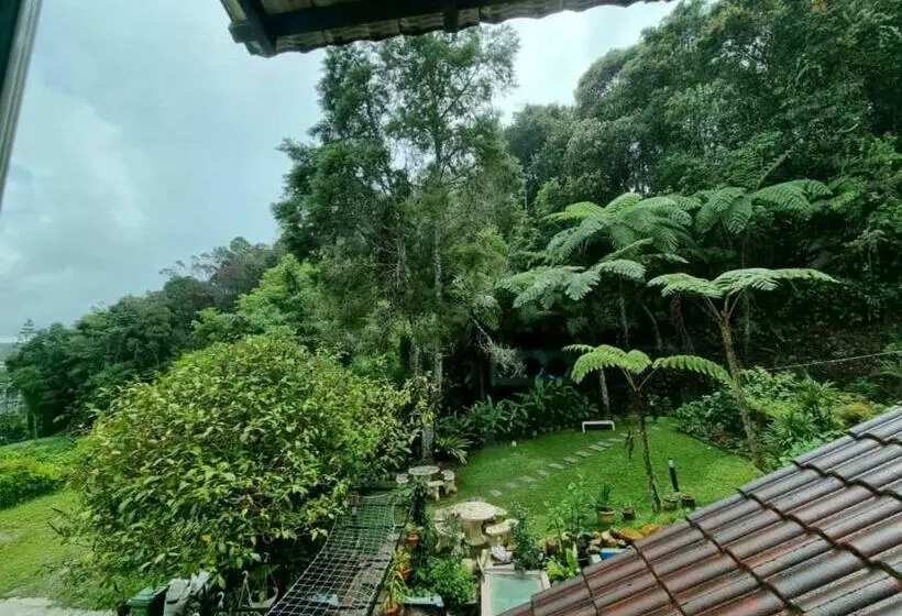 اتاق لوکس, Arundina Cameron Highlands