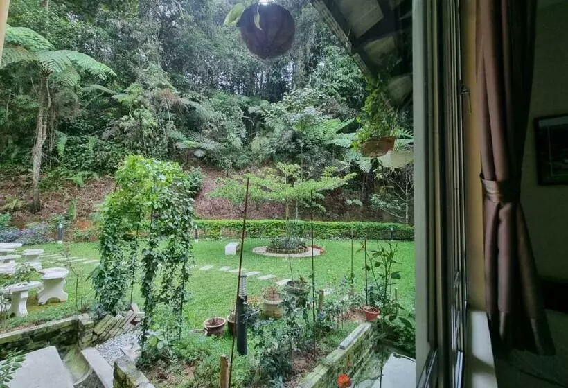 اتاق استاندارد سه نفره, Arundina Cameron Highlands
