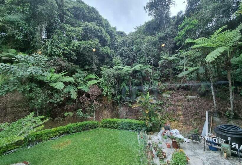 غرفة قياسية ثلاثية, Arundina Cameron Highlands