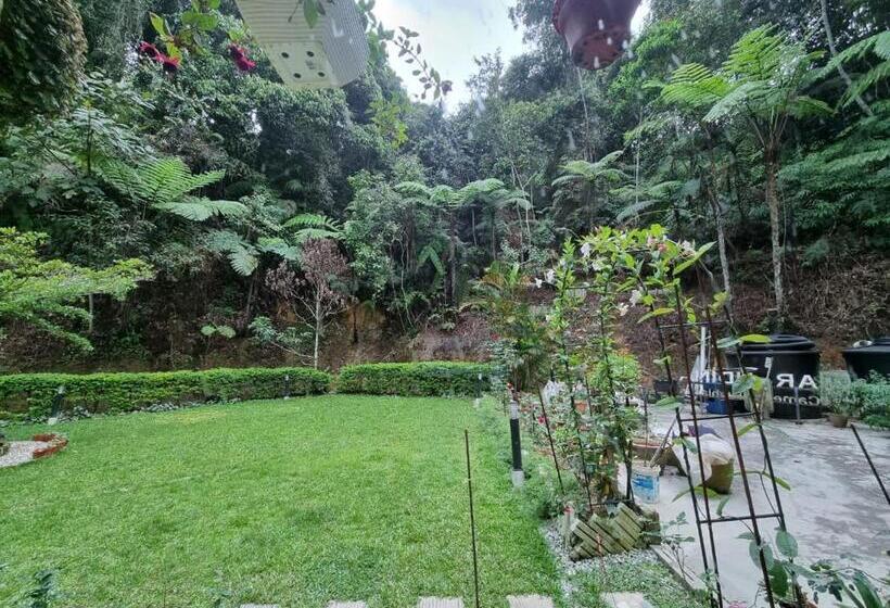 غرفة قياسية ثلاثية, Arundina Cameron Highlands