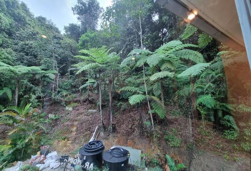 غرفة قياسية ثلاثية, Arundina Cameron Highlands